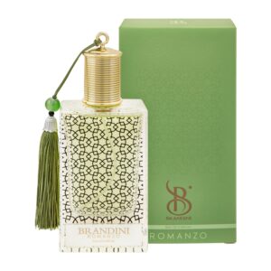عطر ادکلن رومنزو مردانه Romanzo