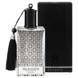 عطر ادکلن پوتنته مردانه Potente