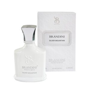 عطر ادکلن سیلور مونتین زنانه و مردانه Silver mountain