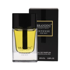 عطر ادکلن اینتنس من مردانه Intense men