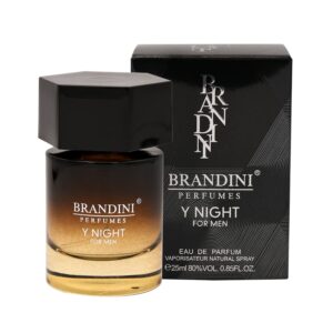 عطر ادکلن وای نایت مردانه Y night men